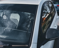 World Serpent Window Decal